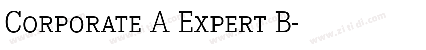 Corporate A Expert B字体转换